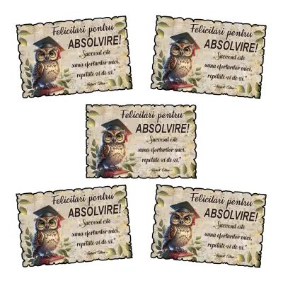 Felicitari pentru absolvire, magnet frigider, model mgs304